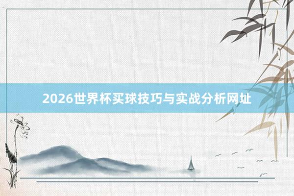 2026世界杯买球技巧与实战分析网址